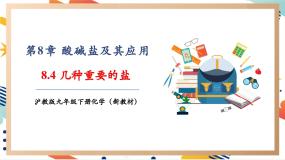 初中第4节 几种重要的盐优秀教学作业ppt课件