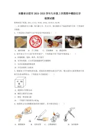 安徽省合肥市2024-2025学年九年级上学期期中模拟化学检测试题(含答案)