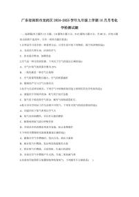 广东省深圳市龙岗区2024-2025学年九年级上学期10月月考化学检测试题（含答案）