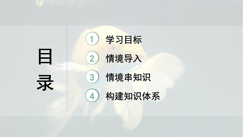 2025年中考化学一轮复习备考大单元复习 课件01: 空气和氧气 主题情境-锦鲤护航记第5页