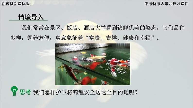 2025年中考化学一轮复习备考大单元复习 课件01: 空气和氧气 主题情境-锦鲤护航记第7页