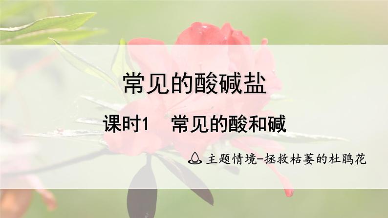 2025年中考化学一轮复习备考大单元复习 课件09: 常见的酸碱盐 课时1 常见的酸和碱 主题情境-拯救枯萎的杜鹃花第1页