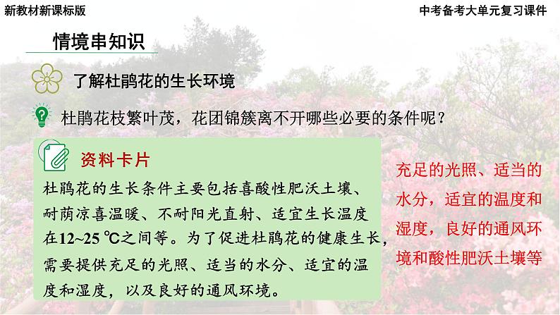 2025年中考化学一轮复习备考大单元复习 课件09: 常见的酸碱盐 课时1 常见的酸和碱 主题情境-拯救枯萎的杜鹃花第8页