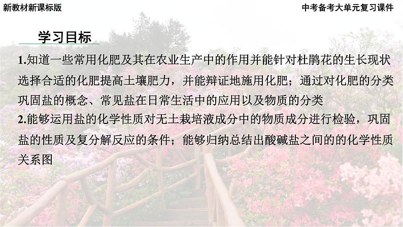 2025年中考化学一轮复习备考大单元复习 课件10: 常见的酸碱盐 课时2 常见的盐主题情境-拯救枯萎的杜鹃花第6页