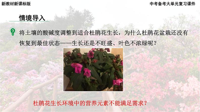 2025年中考化学一轮复习备考大单元复习 课件10: 常见的酸碱盐 课时2 常见的盐主题情境-拯救枯萎的杜鹃花第7页