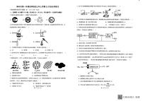 福建省漳州市第一外国语学校（漳州八中）2024-2025学年九年级上学期12月月考化学试题