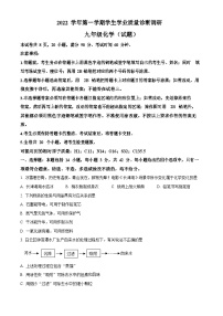 广东省广州市白云区2022-2023学年九年级上学期期末化学试题（含答案）