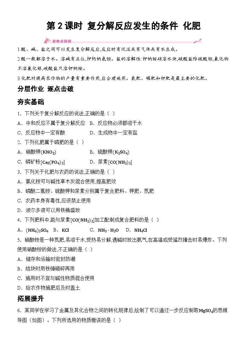 新人教版2024九年级下册化学10.3 常见的盐-第2课时 复分解反应发生的条件 化肥 分层作业(含答案)第1页