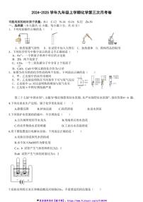 2024～2025学年广东省～汕尾市陆丰市某校九年级(上)化学第三次月考试卷(含答案)