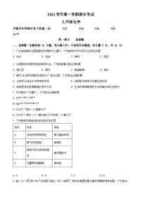 广东省广州市天河区2022-2023学年九年级上学期期末化学试题