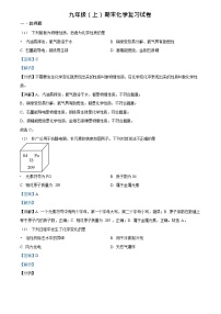 广东省广州市越秀区华侨外国语学校2023-2024学年九年级上学期期末化学试题（答案）