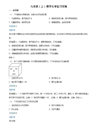 广东省广州市越秀区华侨外国语学校2023-2024学年九年级上学期期末化学试题（答案）