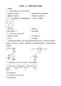 广东省广州市越秀区华侨外国语学校2023-2024学年九年级上学期期末化学试题