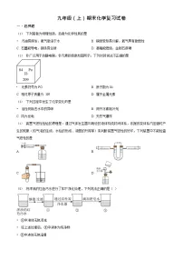 广东省广州市越秀区华侨外国语学校2023-2024学年九年级上学期期末化学试题