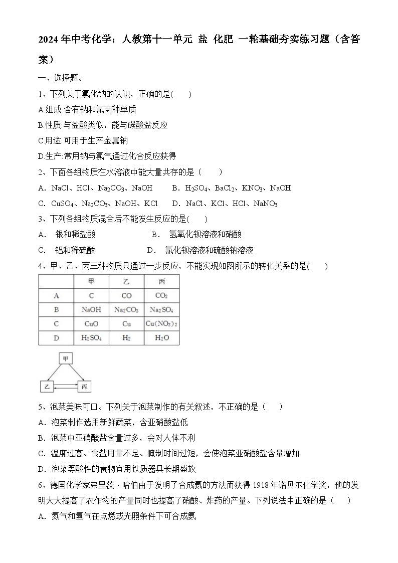 2024年中考化学人教版第十一单元 盐 化肥 一轮基础夯实练习题-A4