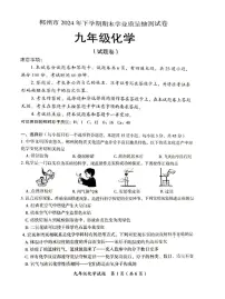 湖南省郴州市2024--2025学年九年级上学期期末学业质量抽测化学试卷