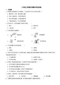 山东省潍坊市2024年八年级上学期化学期末考试试卷【附答案】