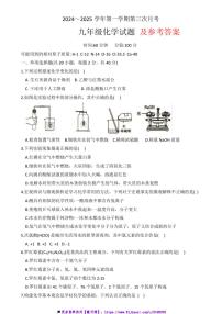 2024～2025学年山东省聊城市九年级(上)第三次月考化学试卷(含答案)