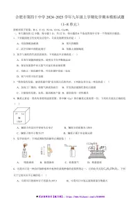 2024~2025学年安徽省合肥市第四十中学九年级(上)化学期末模拟试卷(含答案)