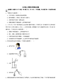 河北省石家庄2024年九年级上学期化学期末试题含答案