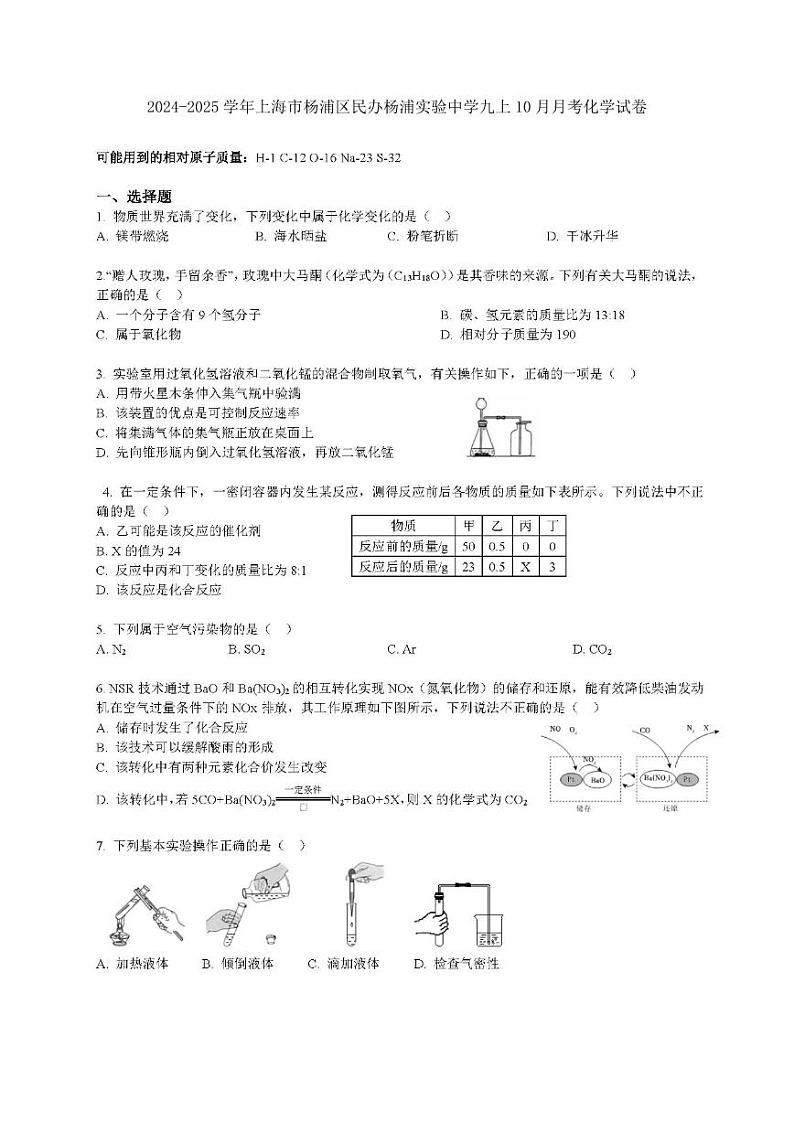 上海市杨浦区民办杨浦实验中学2024-2025学年九年级上学期10月月考化学试卷第1页