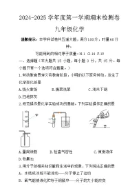 湖南省岳阳市2024-2025学年九年级上学期期末检测化学试卷