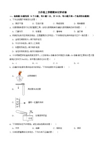 河南省平顶山市2024年九年级上学期期末化学试卷附参考答案