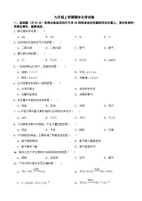上海市普陀区2024年九年级上学期期末化学试卷附参考答案