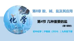 8.4 几种重要的盐（第1课时）-初中化学九年级下册同步教学课件+同步练习（沪教版2024）