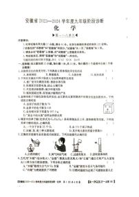 安徽省巢湖市2023-2024学年九年级上学期期末化学试卷