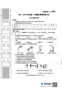陕西省渭南市2024-2025学年九年级上学期期末调研化学试卷