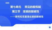 初中化学鲁教版（2024）九年级下册（2024）第三节 溶液的酸碱性评优课课件ppt