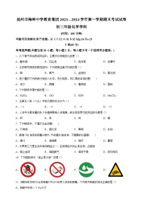 江苏省扬州市梅岭中学教育集团2023-2024学年九年级上学期1月期末化学试卷（含答案解析）