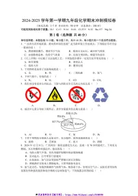 2024~2025学年沪教版九年级上化学期末冲刺模拟卷试卷(含解析)
