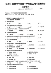 上海市杨浦区2024-2025学年九年级上学期期末考试化学试卷（一模）