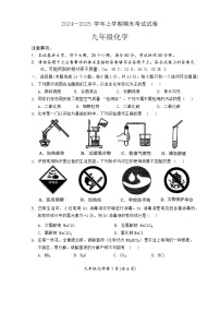人教版2024—2025学年九年级上学期期末训练化学试卷（含答案）