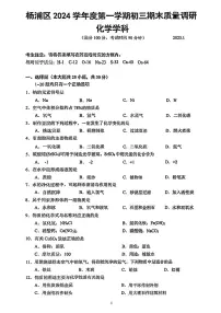 2025年上海市杨浦区初三 中考一模 化学试卷