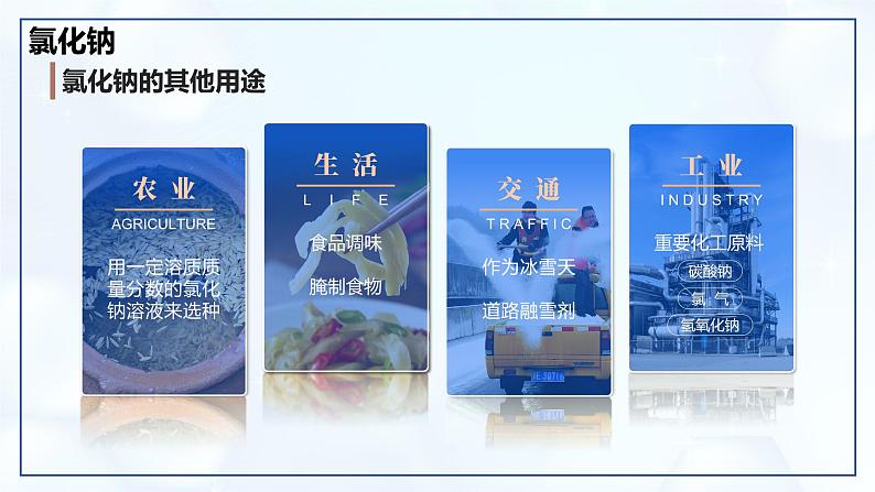 10.3 常见的盐(第1课时)-初中化学九年级下册同步教学课件(人教版2024)第6页