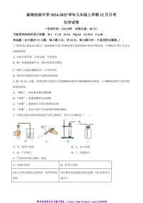 2024～2025学年江苏省连云港市新海初级中学九年级上12月月考化学试卷(含答案)