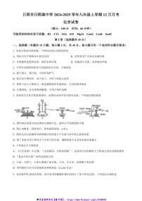 2024～2025学年山东省日照市日照港中学九年级上12月月考化学试卷(含答案)