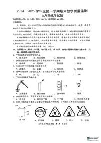 广东省惠州市惠阳区2024-2025学年九年级上学期1月期末化学试题