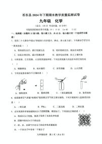 湖南省衡阳市祁东县2024-2025学年九年级上学期期末考试化学试题