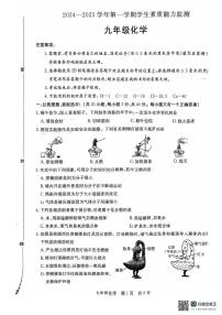 河北省保定市定兴县2024-2025学年九年级上学期1月期末考试化学试题
