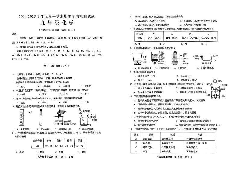 山东省青岛市平度市2024-2025学年九年级上学期期末考试化学试题第1页
