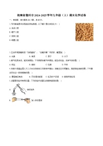海南省儋州市2024-2025学年九年级（上）期末化学试卷-普通用卷