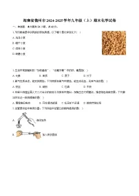 海南省儋州市2024-2025学年九年级(上)期末化学试卷-普通用卷