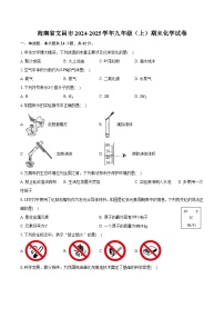 海南省文昌市2024-2025学年九年级（上）期末化学试卷