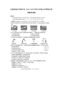 2024~2025学年安徽省亳州市利辛县九年级上期末质量检测化学试卷