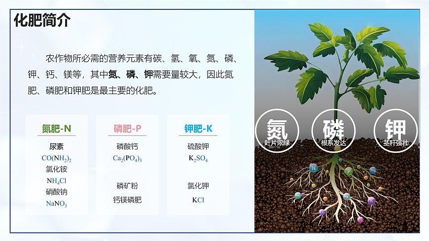 10.3 常見的鹽（第3課時）-初中化學(xué)九年級下冊同步教學(xué)課件（人教版2024）第5頁