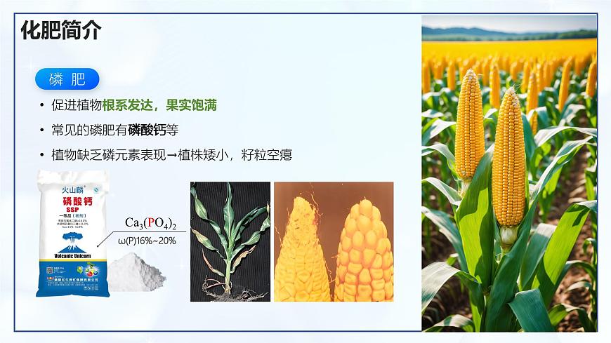 10.3 常見的鹽（第3課時）-初中化學(xué)九年級下冊同步教學(xué)課件（人教版2024）第7頁